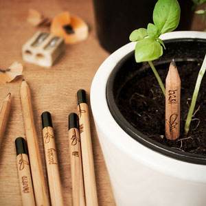 Sprout-Pencil-1-b.jpg